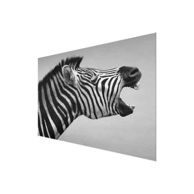 Cuadros en blanco y negro Roaring Zebra ll