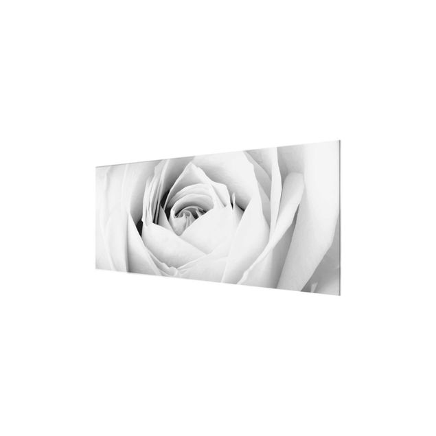 Cuadros de cristal blanco y negro Close Up Rose