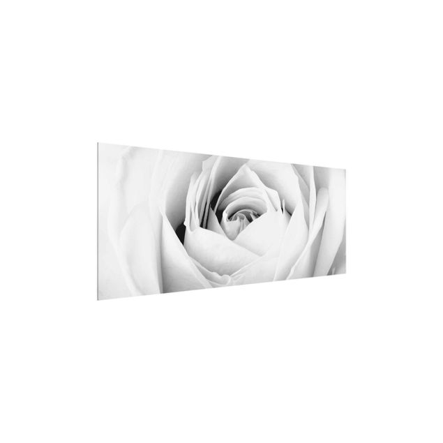 Cuadros modernos blanco y negro Close Up Rose