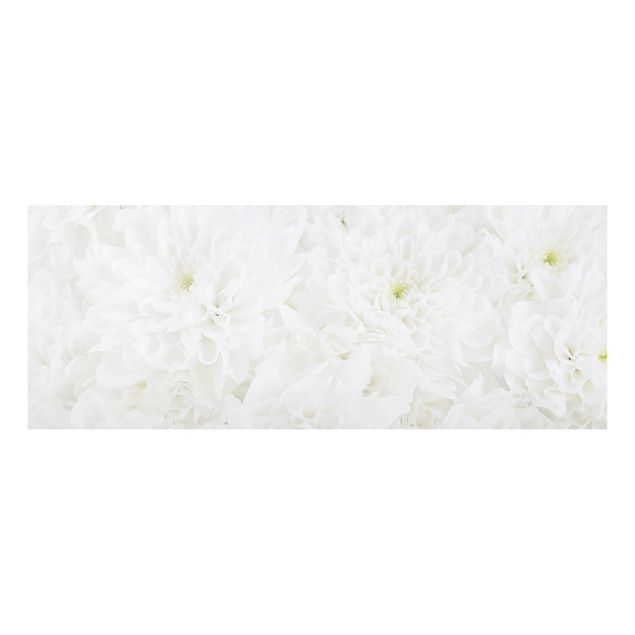 Cuadros de flores modernos Dahlias Sea Of Flowers White