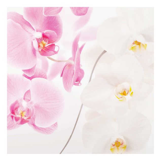 Cuadros de cristal flores Delicate Orchids