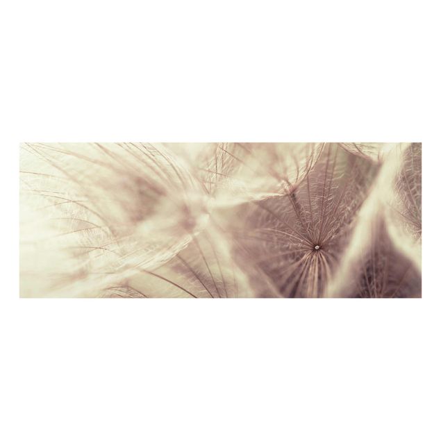 Cuadros flores Detailed Dandelion Macro Shot With Vintage Blur Effect