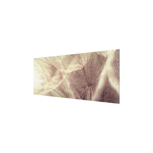Cuadros decorativos Detailed Dandelion Macro Shot With Vintage Blur Effect