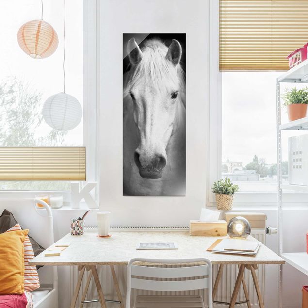 Cuadros de cristal blanco y negro Dream Of A Horse