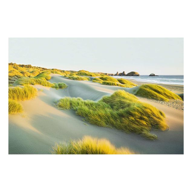 Cuadros marinos Dunes And Grasses At The Sea