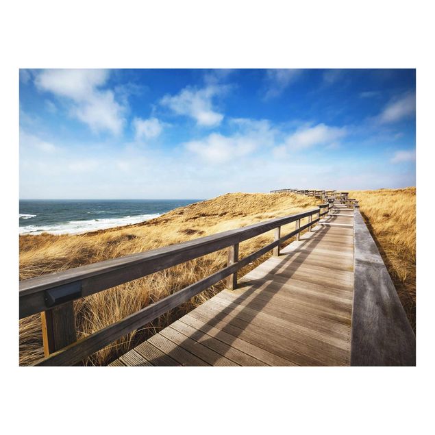 Cuadros marinos Path between dunes at the North Sea on Sylt