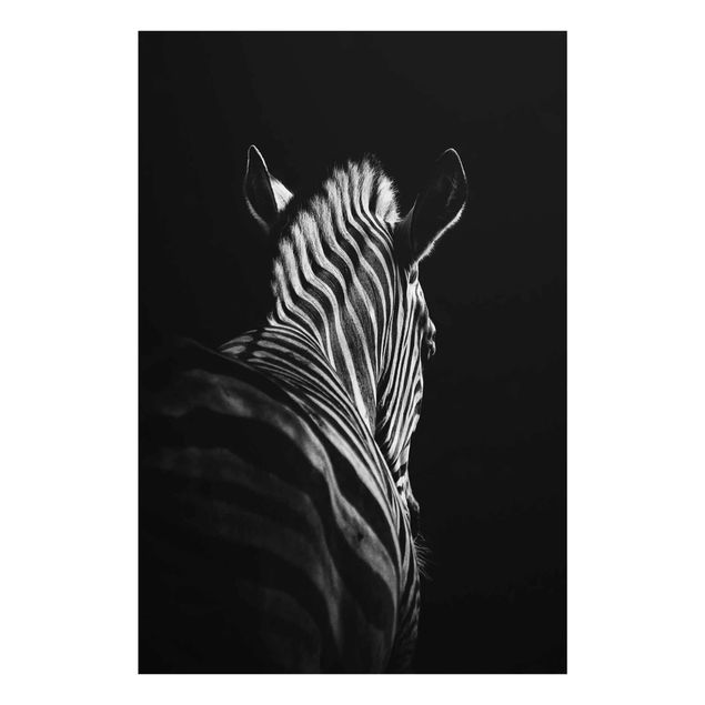 Cuadros modernos y elegantes Dark Zebra Silhouette