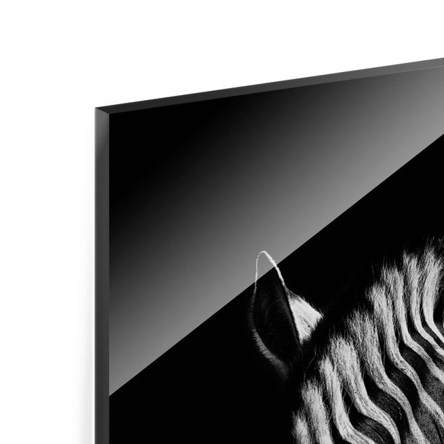 Cuadros modernos Dark Zebra Silhouette