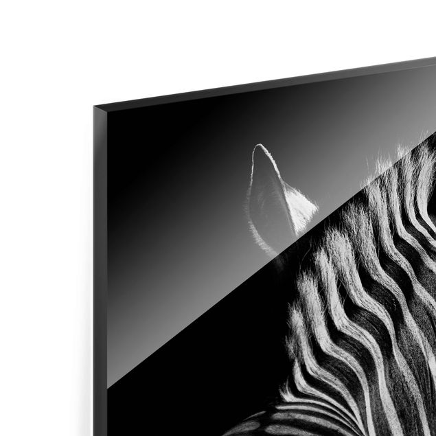 Cuadros Dark Zebra Silhouette