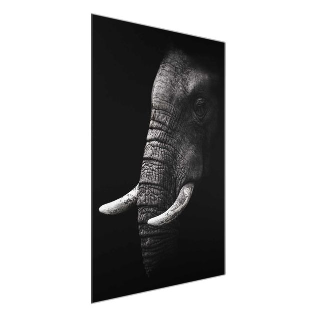 Cuadros de cristal blanco y negro Dark Elephant Portrait