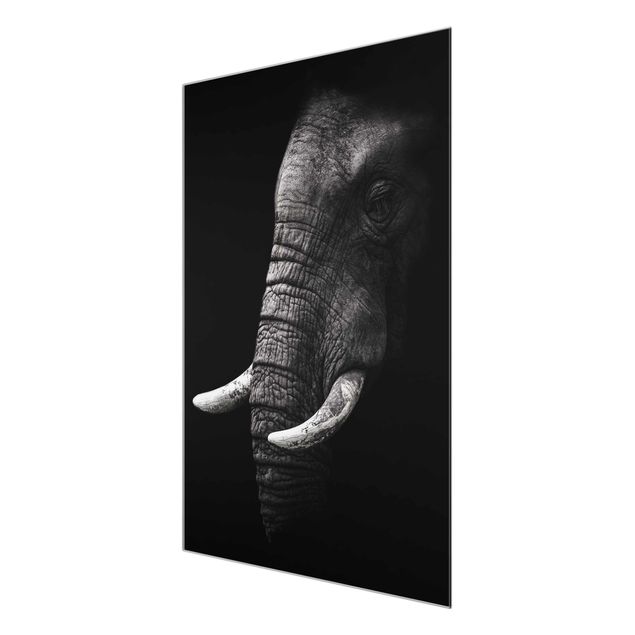 Cuadros de cristal animales Dark Elephant Portrait