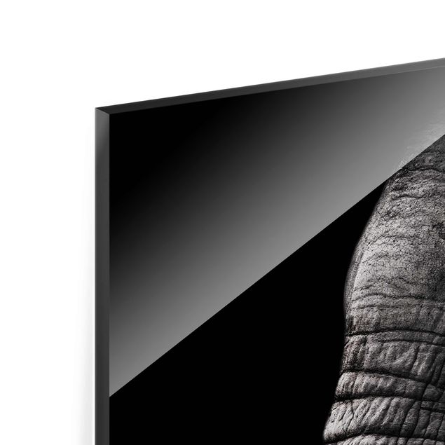 Cuadros a blanco y negro Dark Elephant Portrait