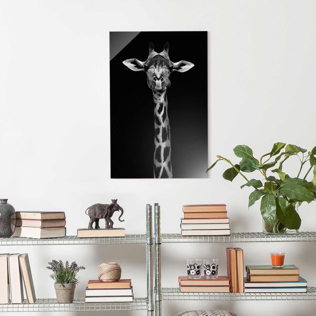 Cuadros de jirafas Dark Giraffe Portrait
