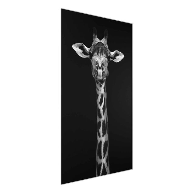 Cuadros de cristal animales Dark Giraffe Portrait