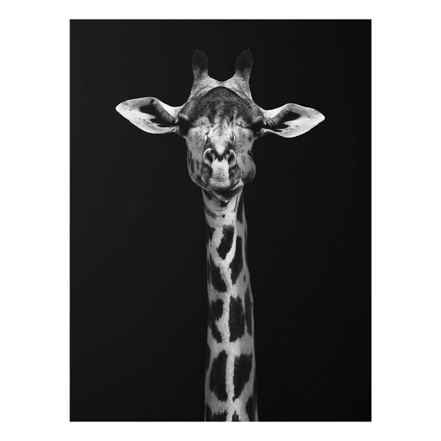 Cuadros africanos modernos Dark Giraffe Portrait