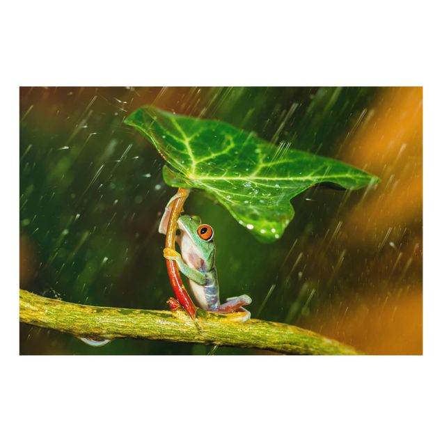 Cuadro verde Frog In The Rain