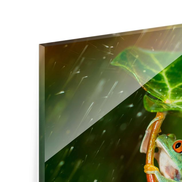 Tableros magnéticos de vidrio Frog In The Rain