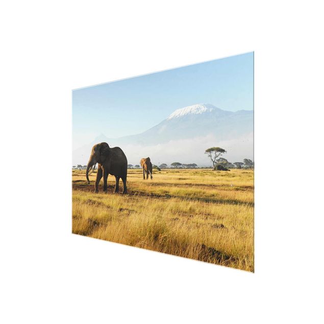 Cuadros naturaleza Elephants In Front Of The Kilimanjaro In Kenya