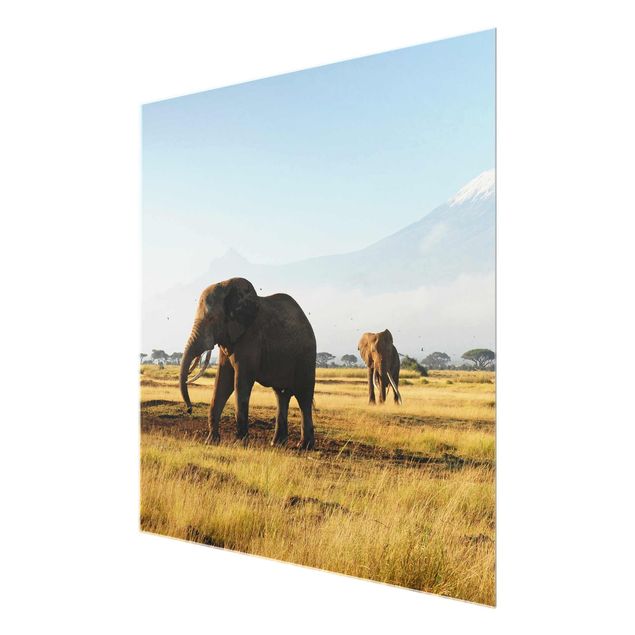 Cuadros de naturaleza Elephants In Front Of The Kilimanjaro In Kenya