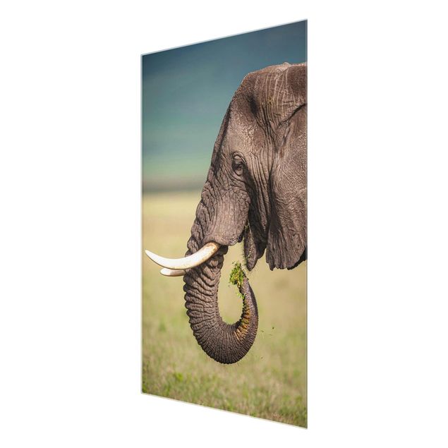 Cuadros decorativos Feeding Elephants In Africa