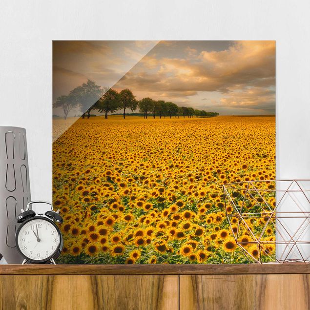 Cuadro de los girasoles Field With Sunflowers