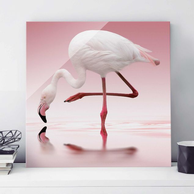Decoración en la cocina Flamingo Dance