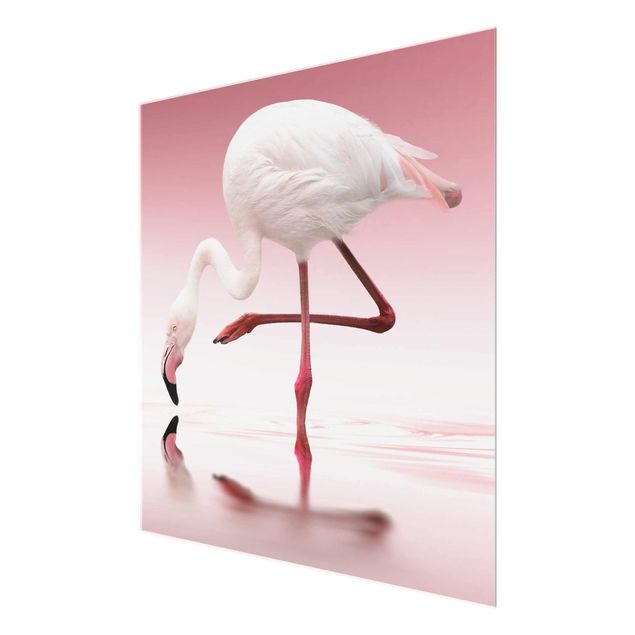 Cuadros modernos Flamingo Dance