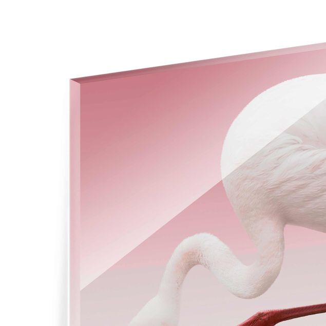 Tableros magnéticos de vidrio Flamingo Dance