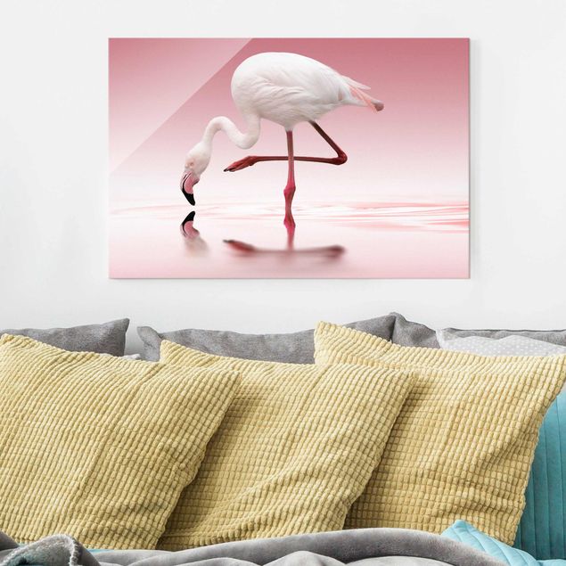 Decoración en la cocina Flamingo Dance