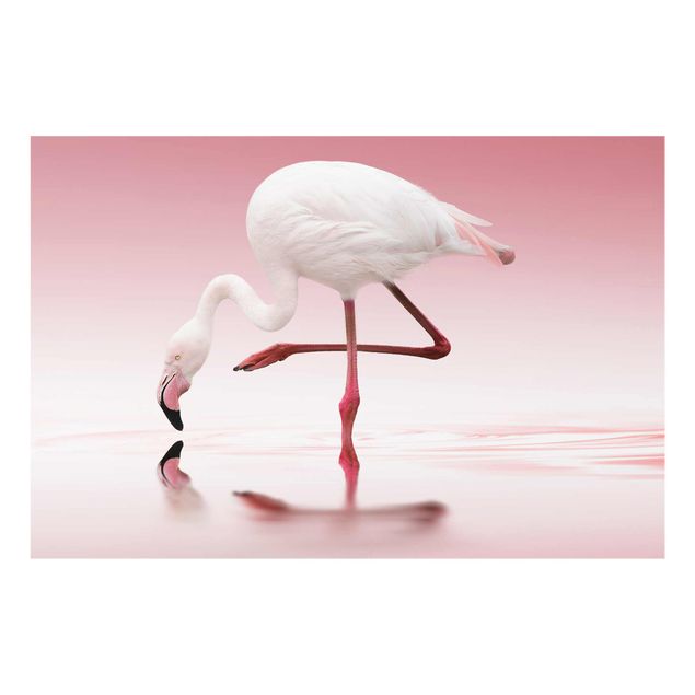 Cuadros tonos naranjas Flamingo Dance