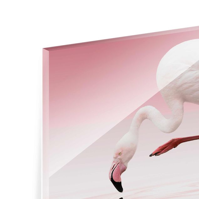 Tableros magnéticos de vidrio Flamingo Dance