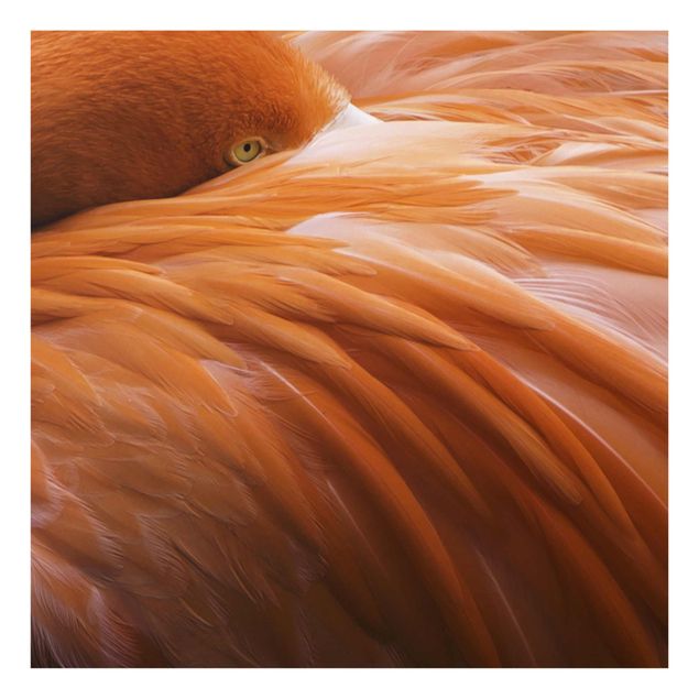 Cuadro naranja Flamingo Feathers