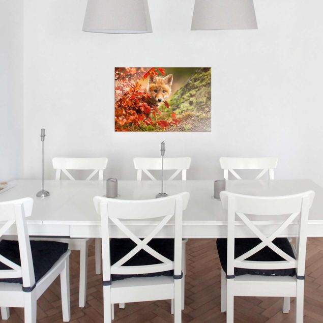 Cuadro con paisajes Fox In Autumn