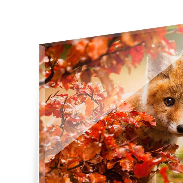Cuadros naranja Fox In Autumn