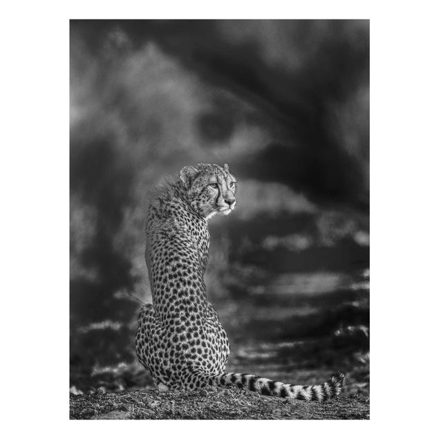 Cuadros modernos blanco y negro Cheetah In The Wildness