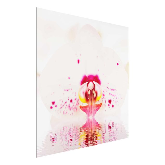 Cuadros de cristal flores Dotted Orchid On Water