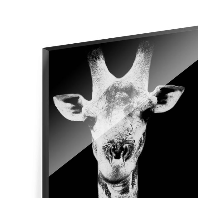 Tableros magnéticos de vidrio Giraffe Duo black & white