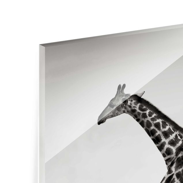 Tableros magnéticos de vidrio Giraffe Hunt