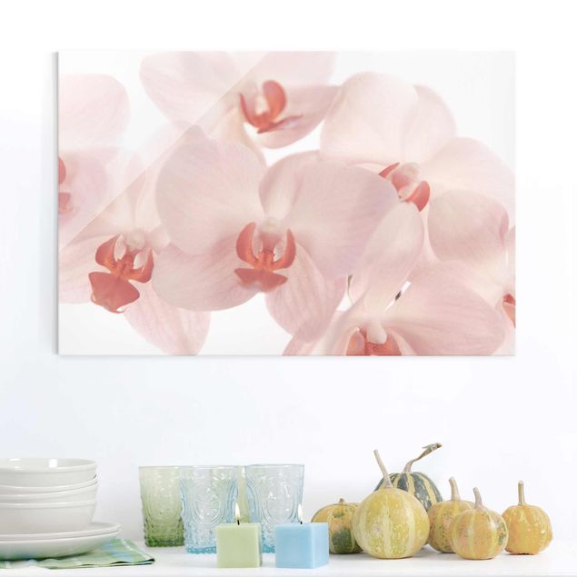 Cuadros con orquideas Bright Orchid Flower Wallpaper - Svelte Orchids