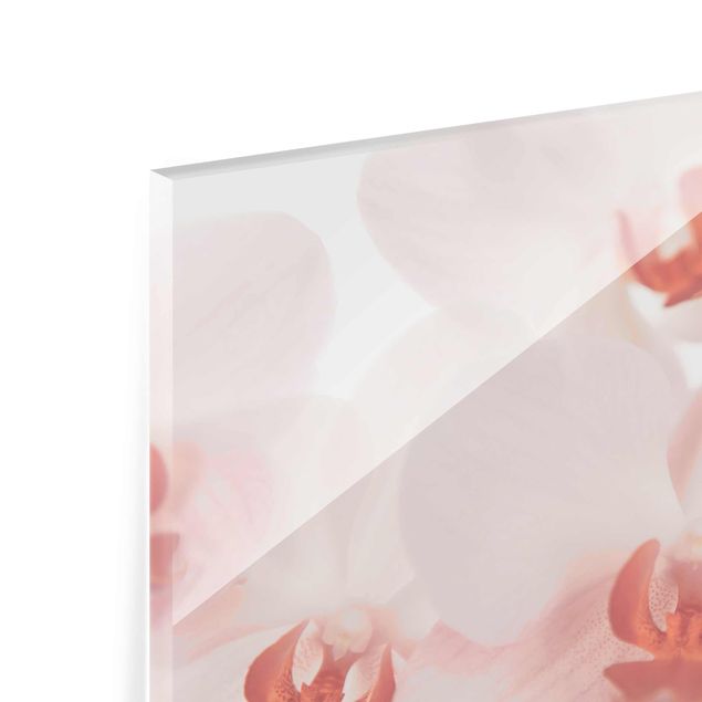 Tableros magnéticos de vidrio Bright Orchid Flower Wallpaper - Svelte Orchids