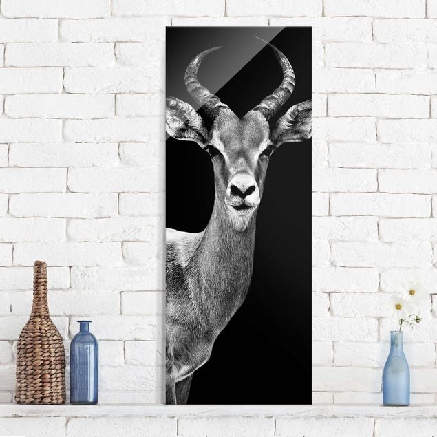 Decoración en la cocina Impala antelope black & white