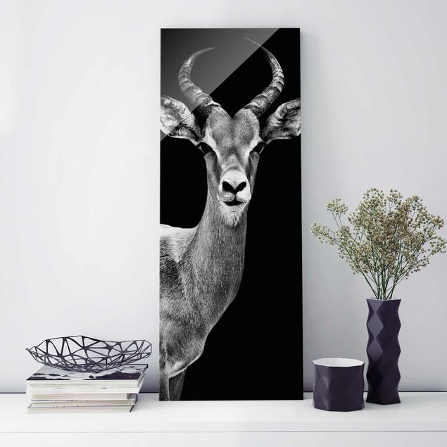 Cuadros de cristal blanco y negro Impala antelope black & white