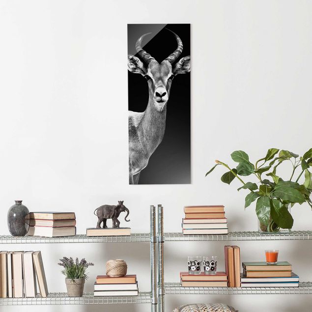 Cuadros de cristal animales Impala antelope black & white