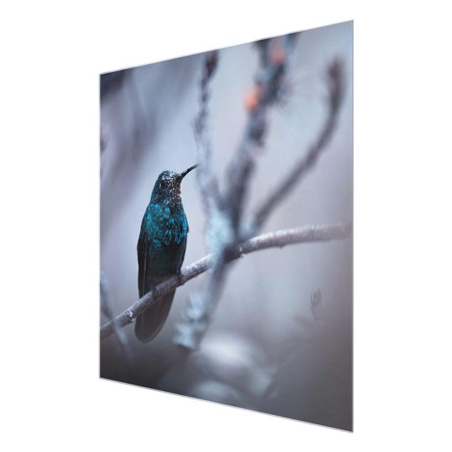 Cuadros decorativos Hummingbird In Winter