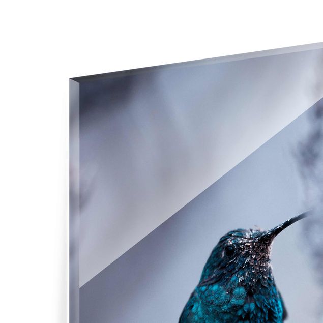 Tableros magnéticos de vidrio Hummingbird In Winter