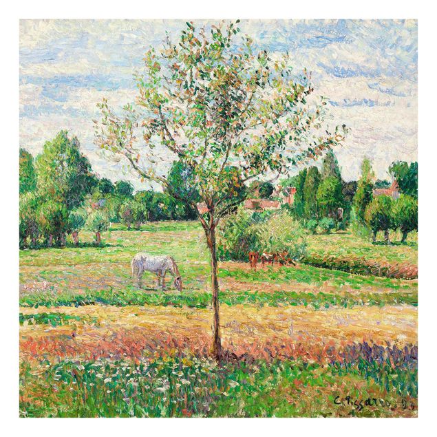 Estilo artístico Romanticismo Camille Pissarro - Meadow with Grey Horse, Eragny
