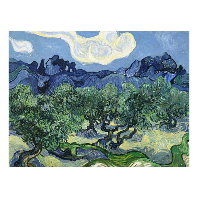Reproducciones de cuadros Vincent Van Gogh - Olive Trees
