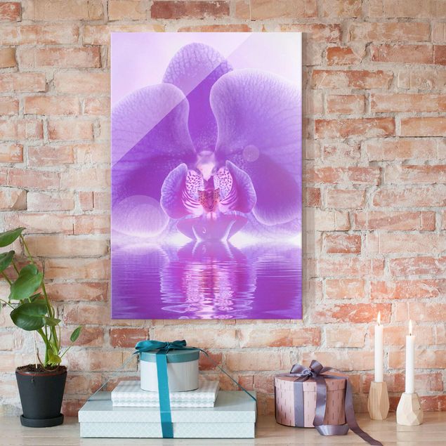 Cuadros con orquideas Purple Orchid On Water