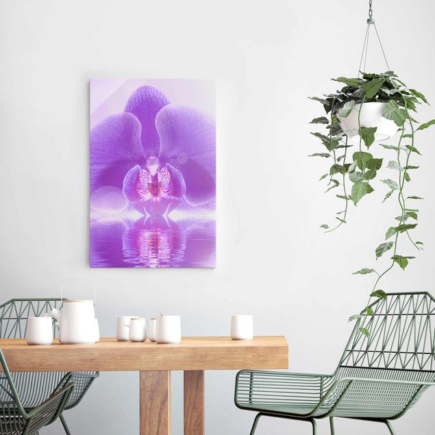 Decoración cocina Purple Orchid On Water