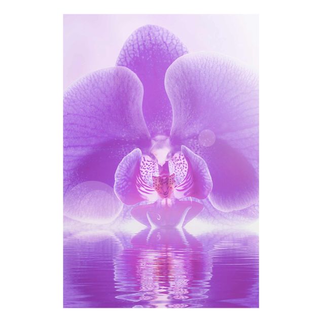 Cuadros de plantas Purple Orchid On Water